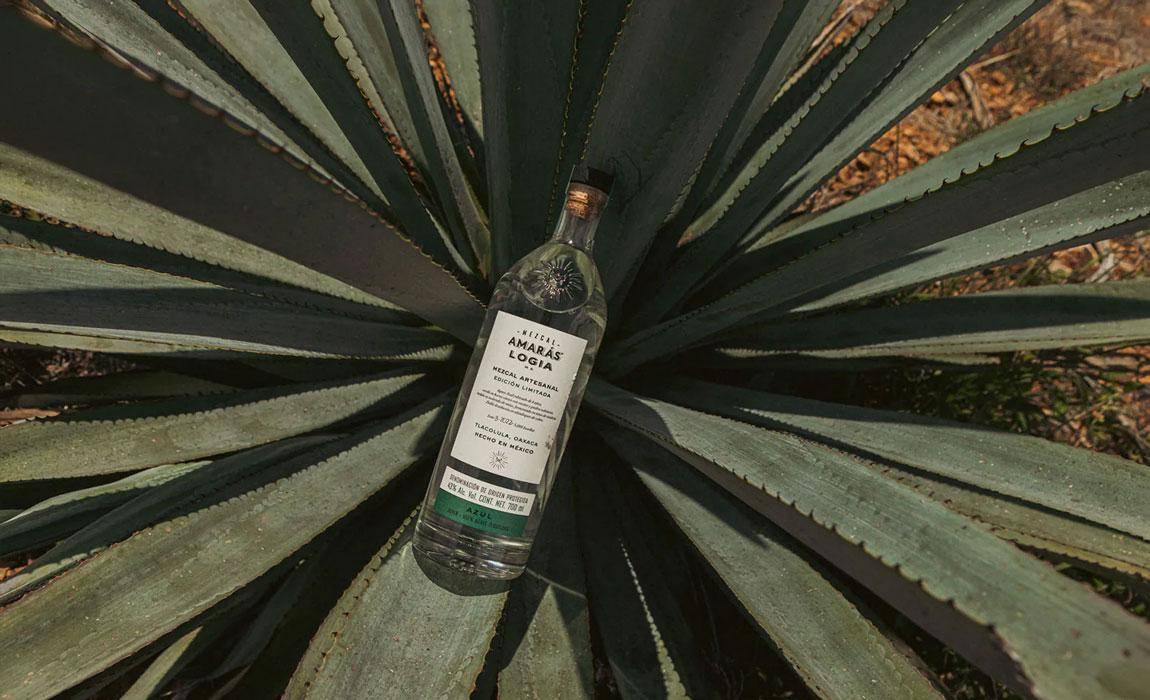 mezcal amaras 