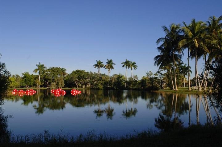 fairchild miami gardens