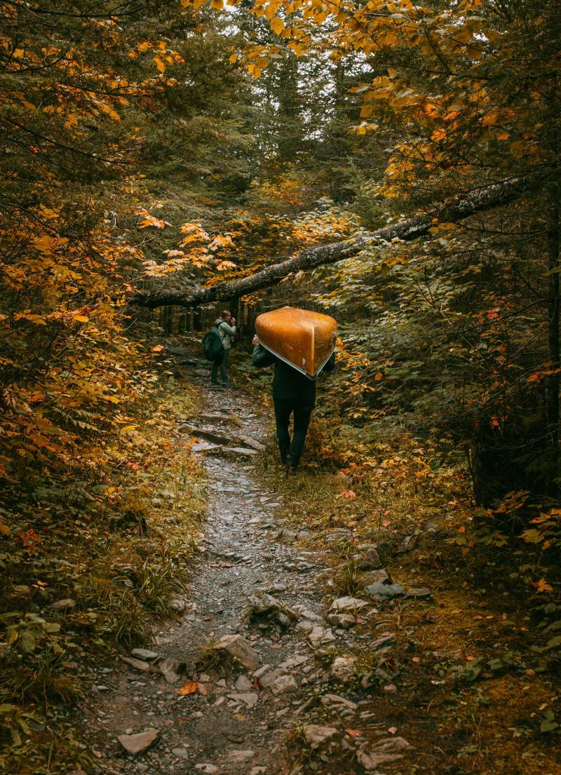 boundary waters canoe area wilderness ely minnesota