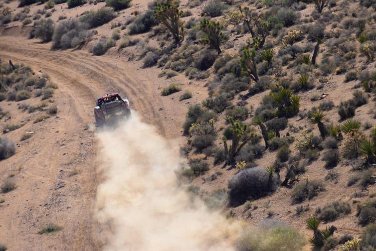 mint 400 2020 racing in the joshua trees