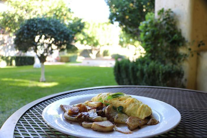 breakfast on the patio