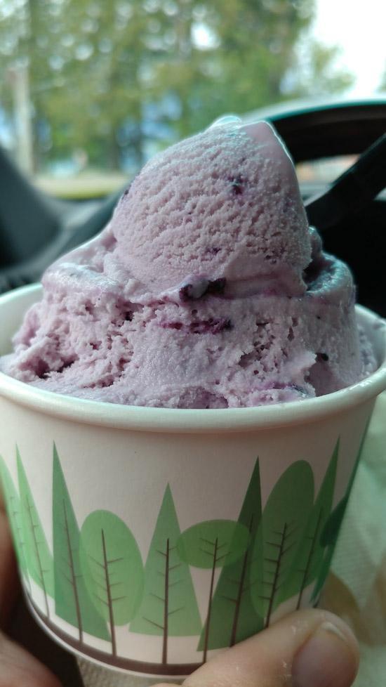 huckleberry ice cream