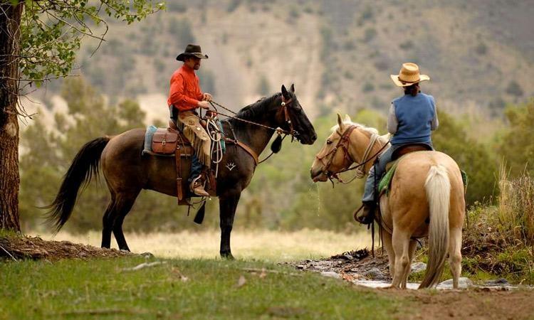 montana sky guest ranch