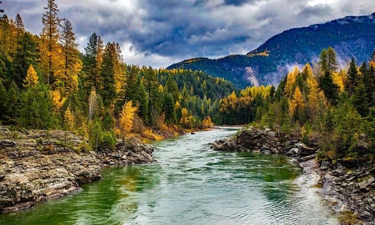 Montana in Fall