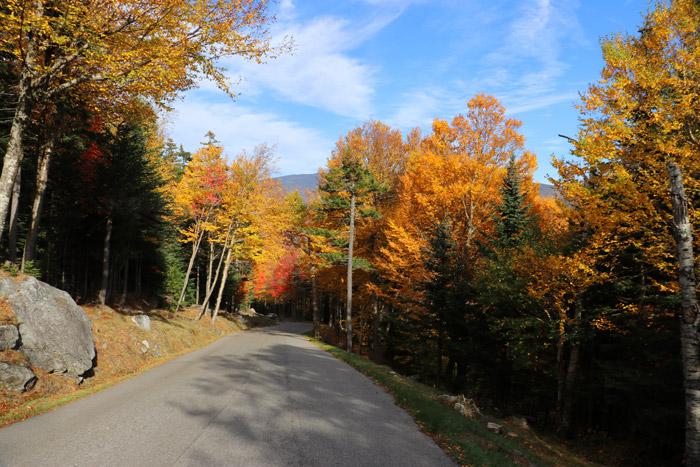 fall colors along mount washington auto road