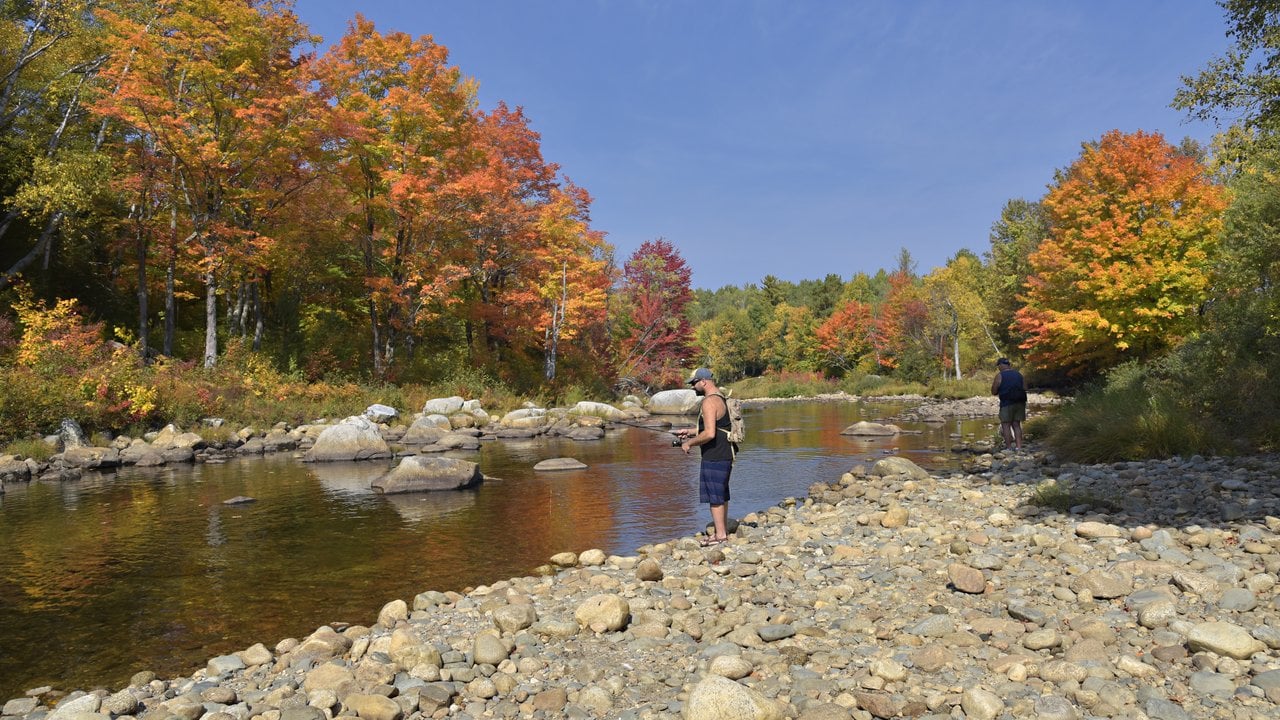 Fall foliage along a river in the White Mountains, New Hampshire (photo credit: Mt. Washington Valley Chamber of Commerce)