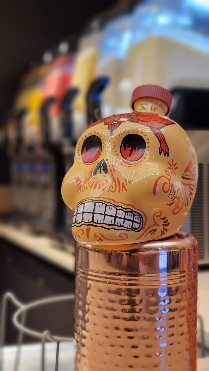 hola tacos mexican skull msc seashore