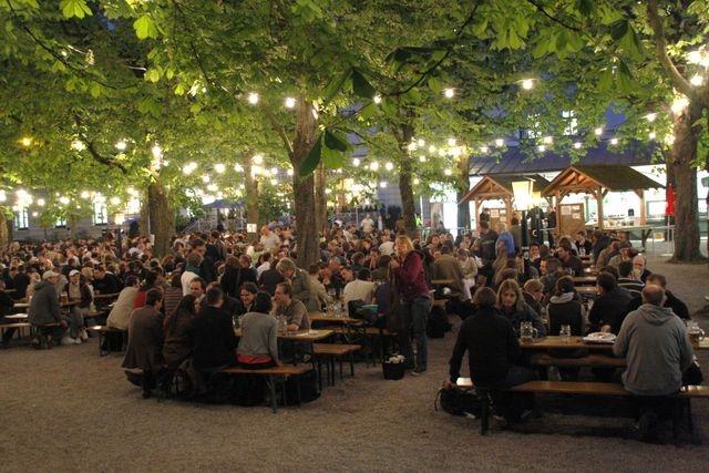 chestnut trees in munic beer garden