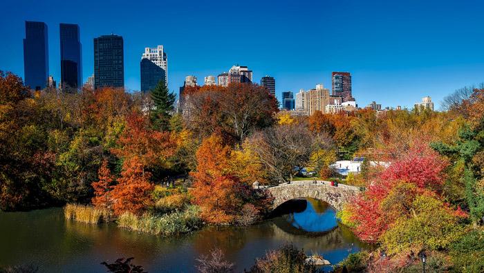 central park in fall new york city fall folliage leaf colors