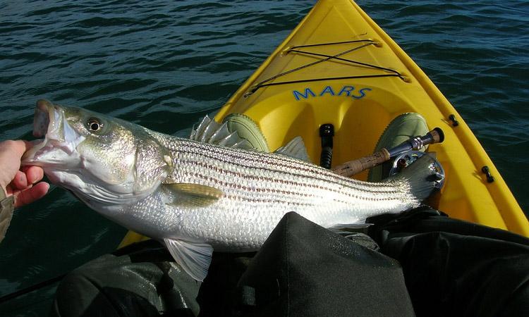 Top Bass Fishing Spots in New York State