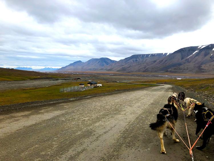 dogsledding in summer on svalbard island norway