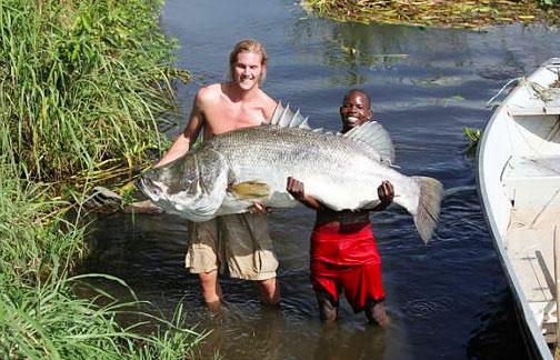 Nile Perch Fishing