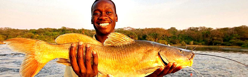 Gamefishing On The Nile