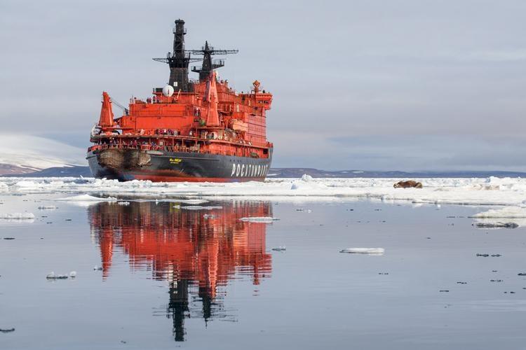 watching marine life from deck of ice breaker