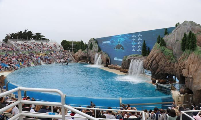 orca encounter seaworld san diego infinity screen