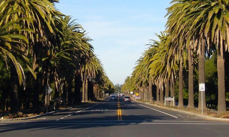 Sites to Explore in Palo Alto California
