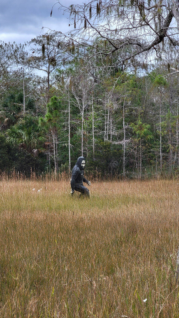 florida skunk ape research center