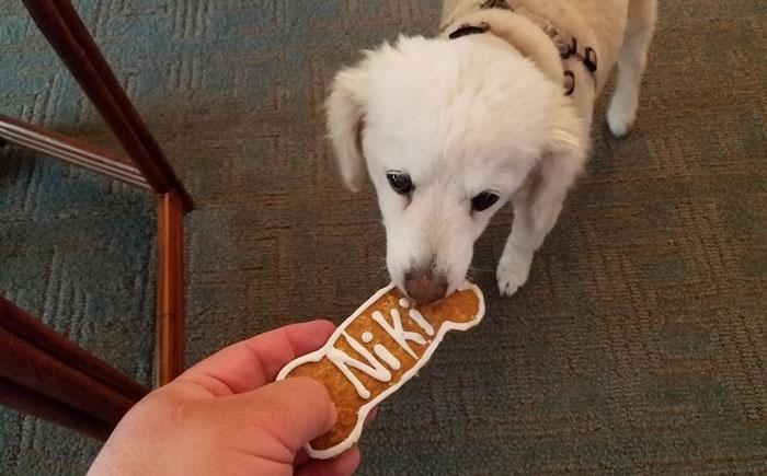 niki bone