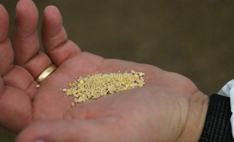 perdue farms chicken feed is human consumable