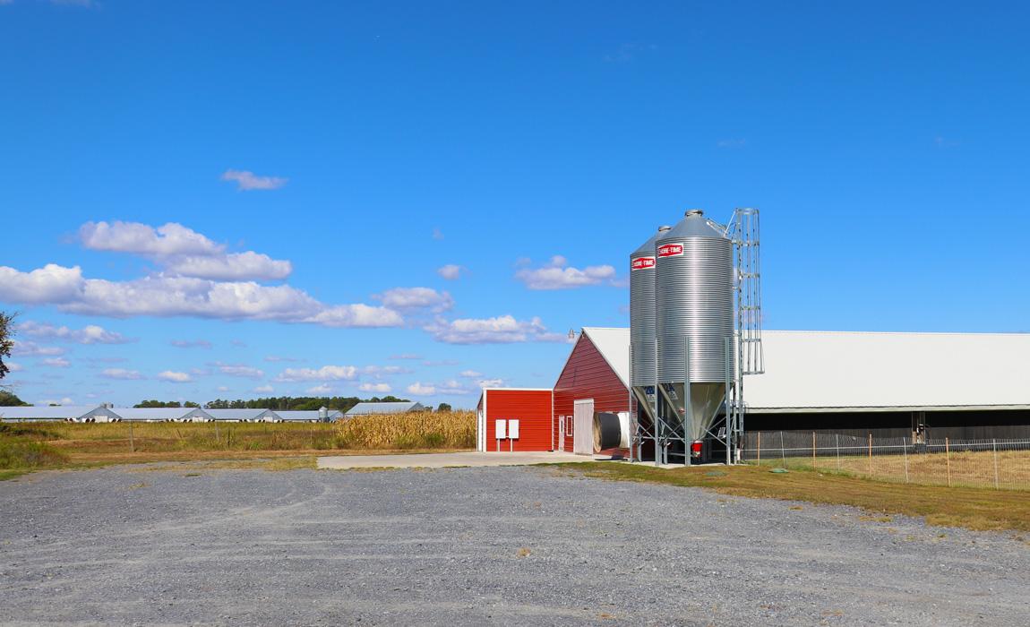 Perdue Farms Chicken House