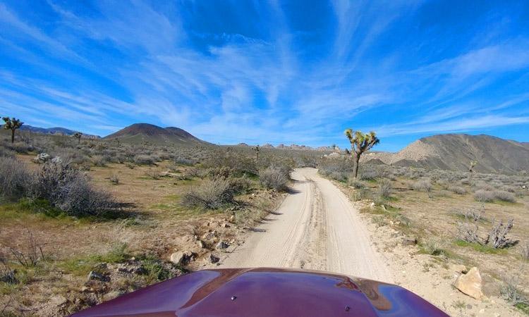 sun roof shot joshua tree