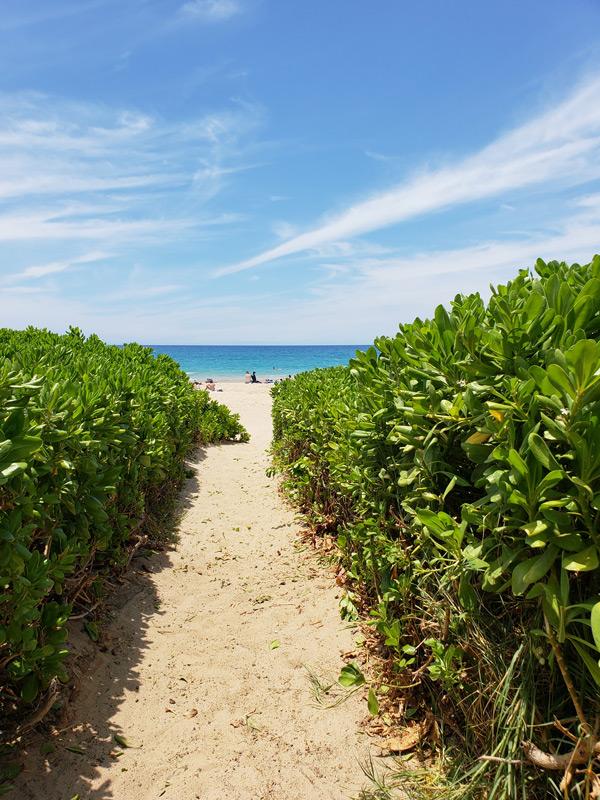 hapuna beach state park hawaii big island