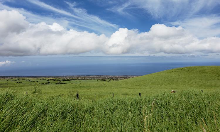 Photos of Hawaii taken with the Samsung Galaxy S9 Plus on Verizon