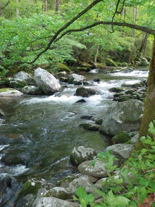 great smoky mountains natural wonder