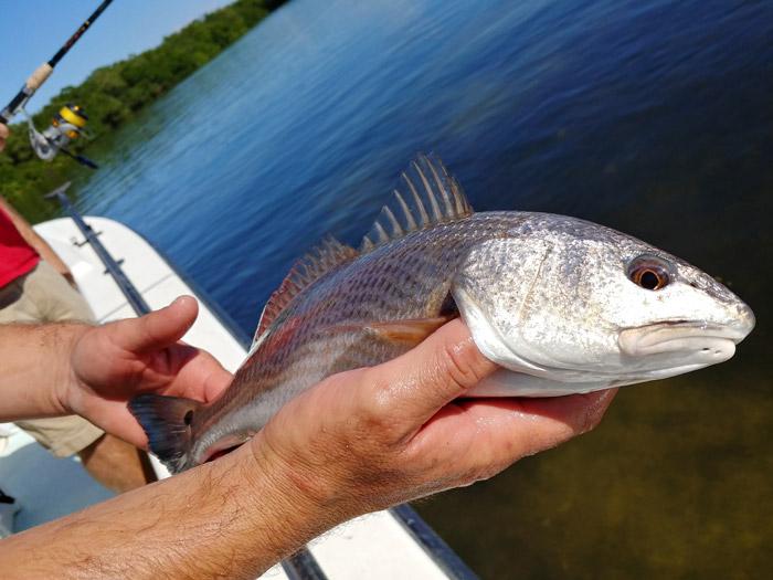 when planning activities like golf and fishing look for ways to make your sober friends not feel left out