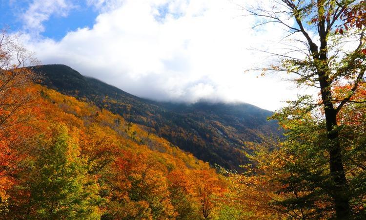 Ways to preserve vacation memories
