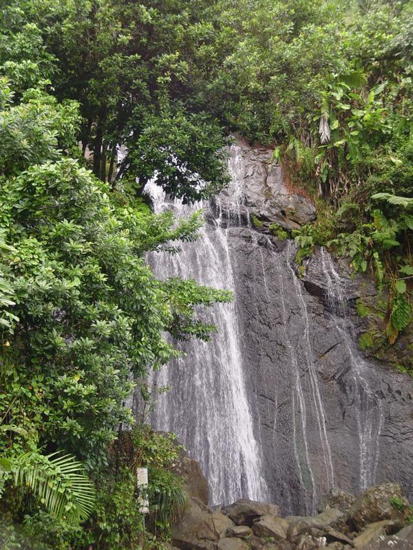 el yunque coca falls
