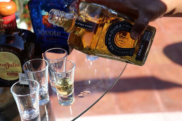 tequila tasting in puerto vallarta
