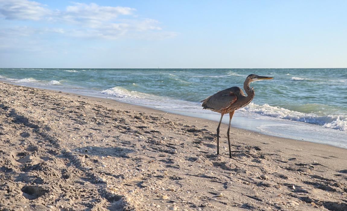 Englewood Beach in Punta Gorda Florida