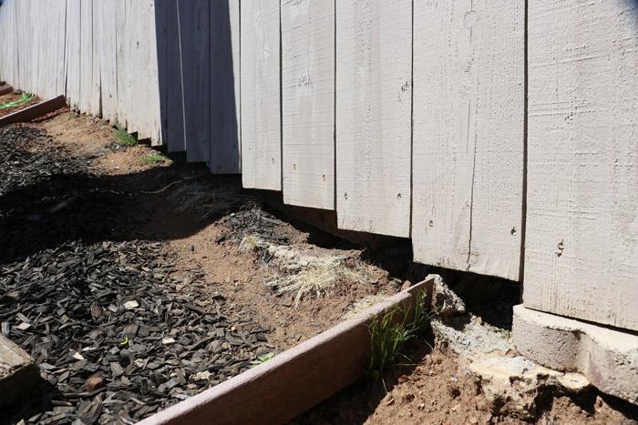 gaps in fence allow rattlesnakes to pass through