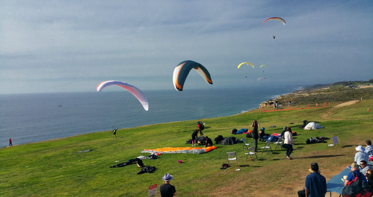 Five Vacation Ideas That Are Afternoon Trips In San Diego