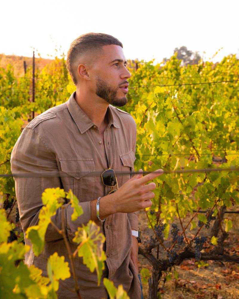 sam jordan red bear winery