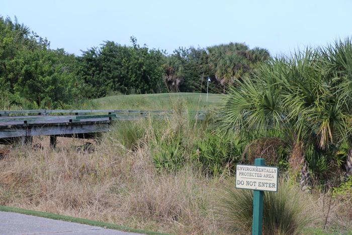 17th hole green