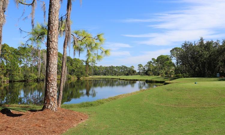 Riverwood Golf Club Port Charlotte Florida