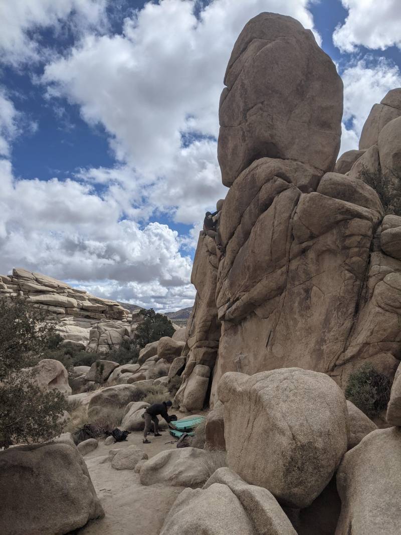 rock climbing joshua tree california