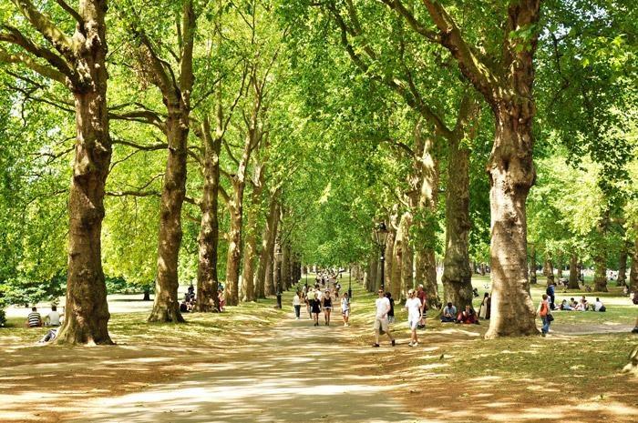 Green Park one of the Royal Parks found in London