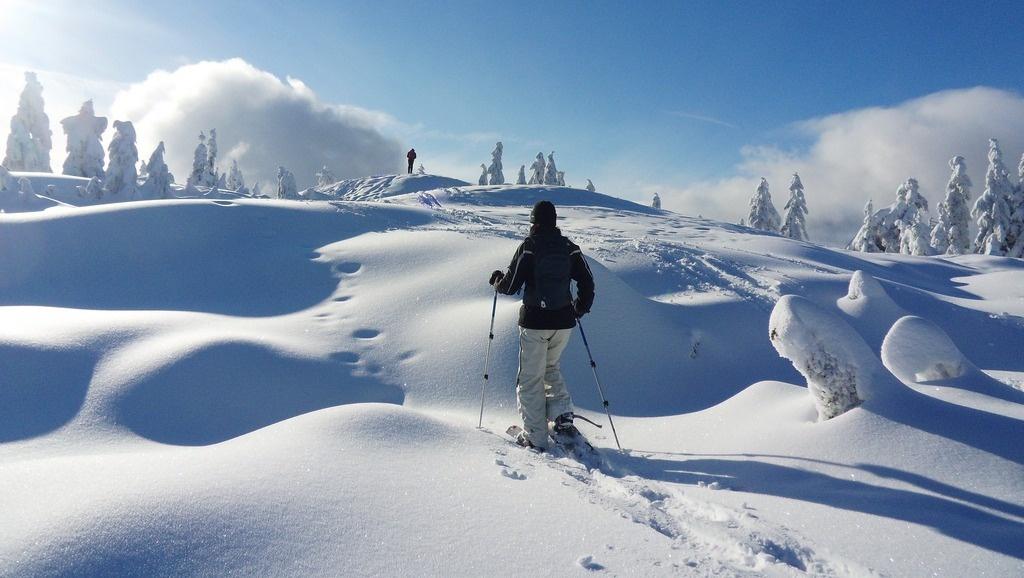 Snowshoe Running in Winter