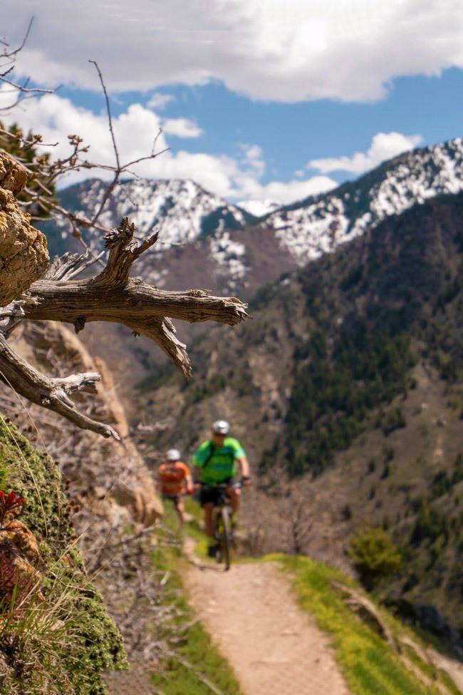 bike or hike on rattlesnake gultch trail in the utah mountains