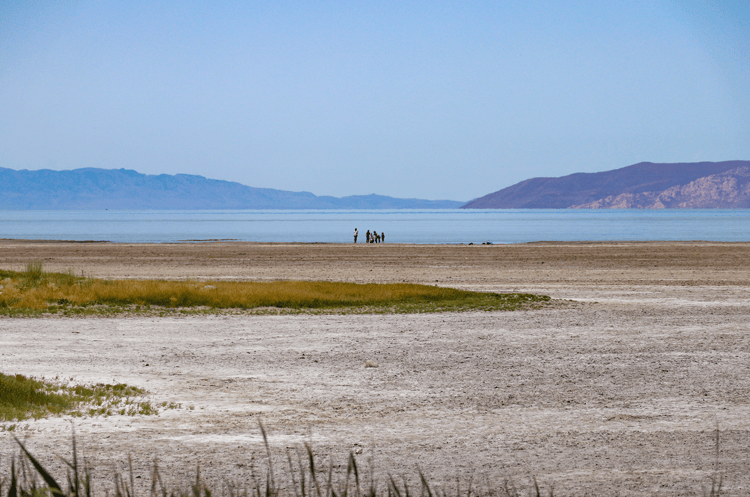 exploring the salt lake at the great saltair