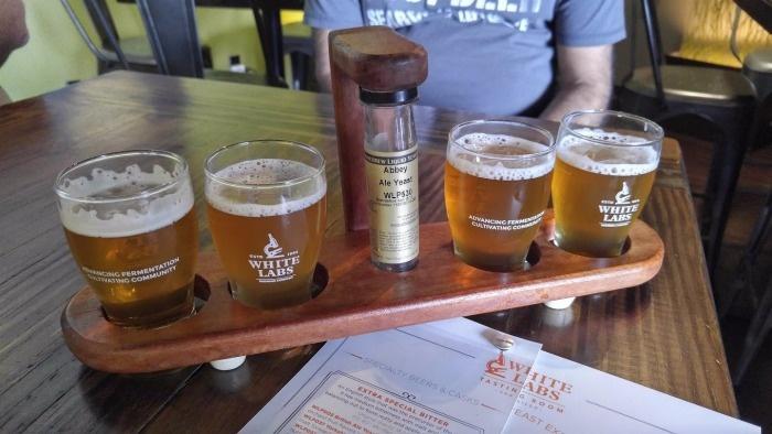 white labs flight