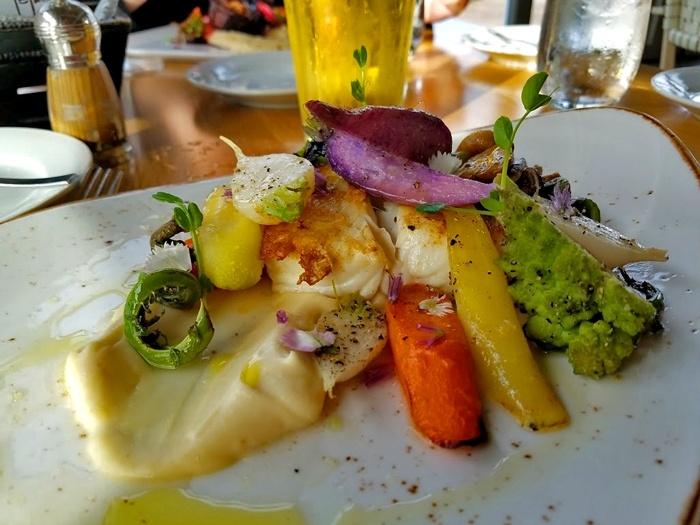 halibut