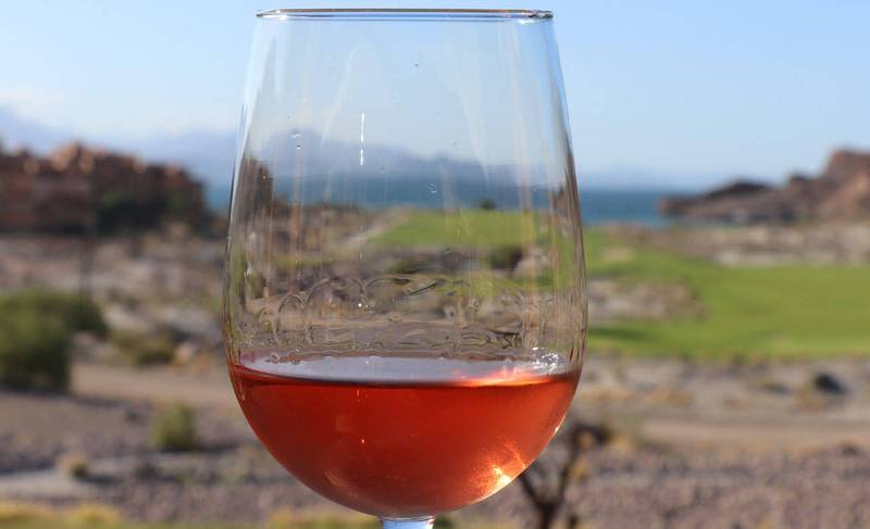 food and wine pairing with rondo del valle