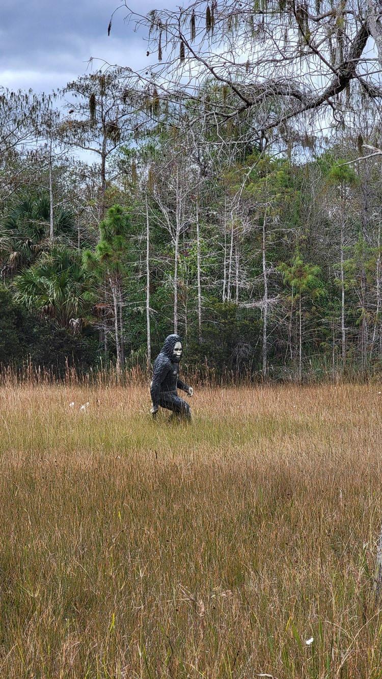 florida skunk ape research center