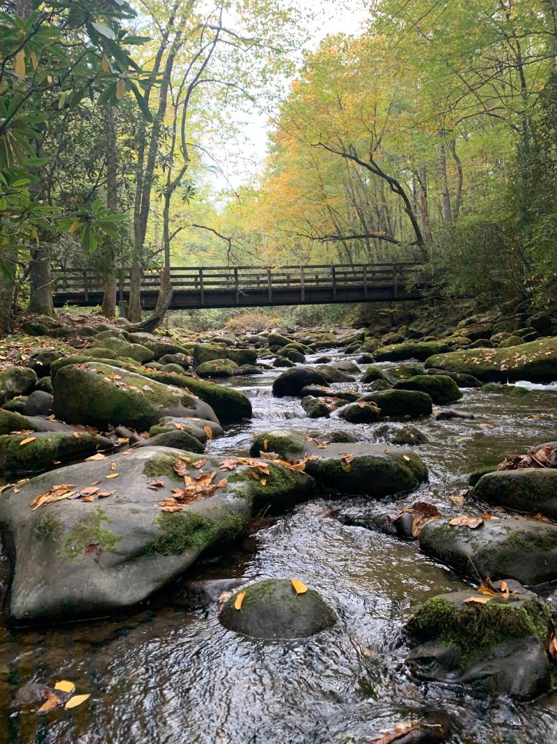cool mountain streams for fishing and hiking