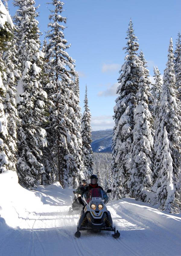 everything you need to know about snowmobiling in montana