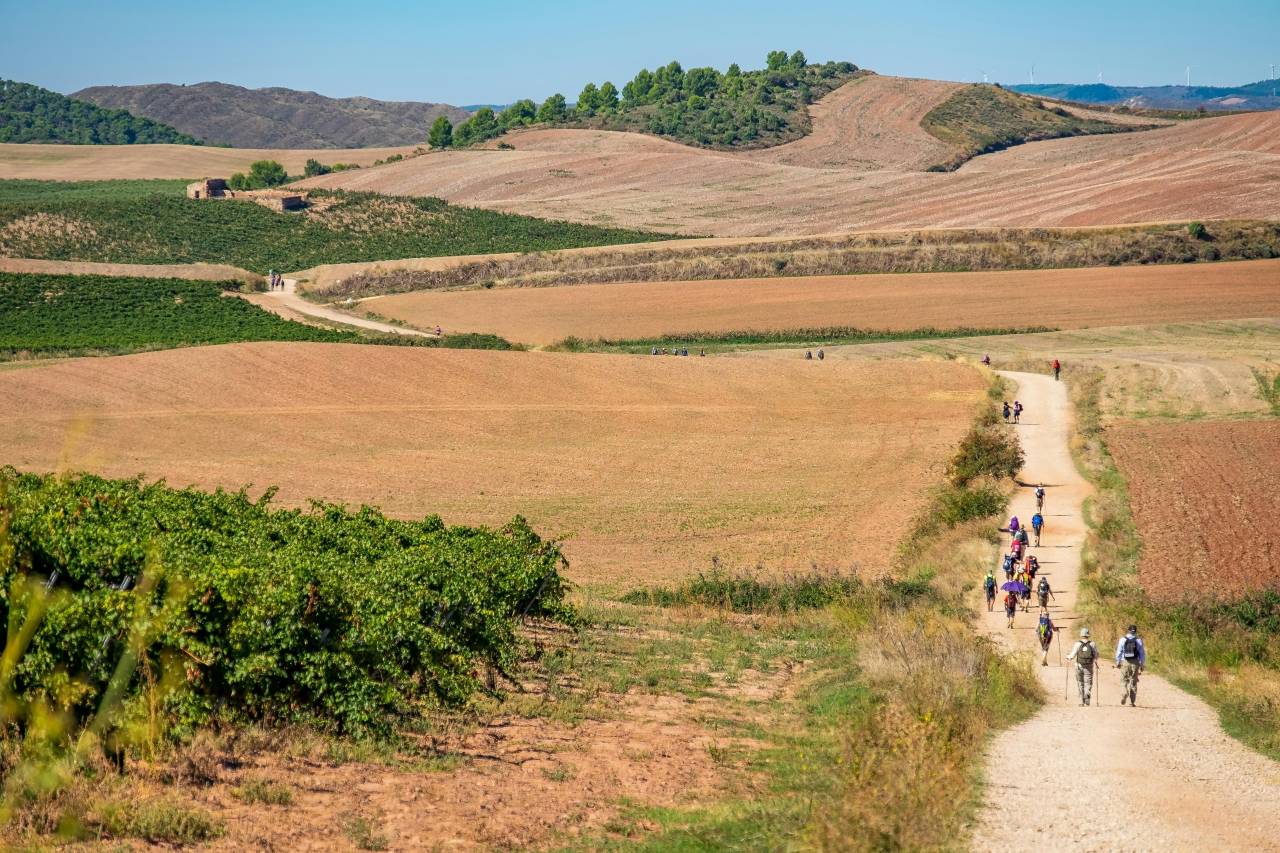 Walking the Camino de Santiago Solo